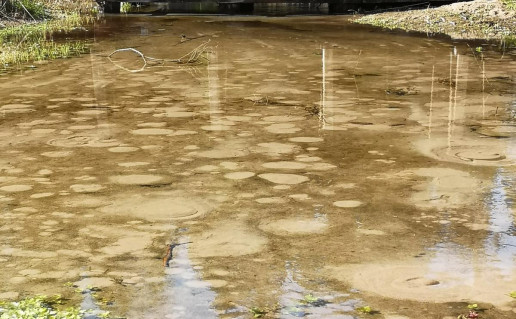 1_Svilės šaltiniai (3).jpg